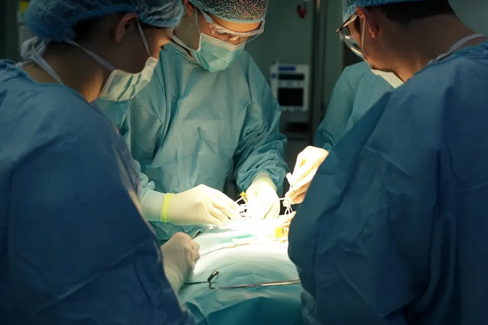 Laparoscopic endometriosis excision surgery planned from an EndoMapping report